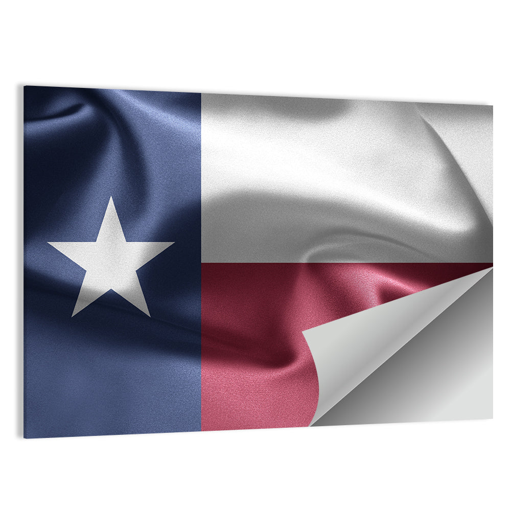 Texas Lone Star Flag Wall Art