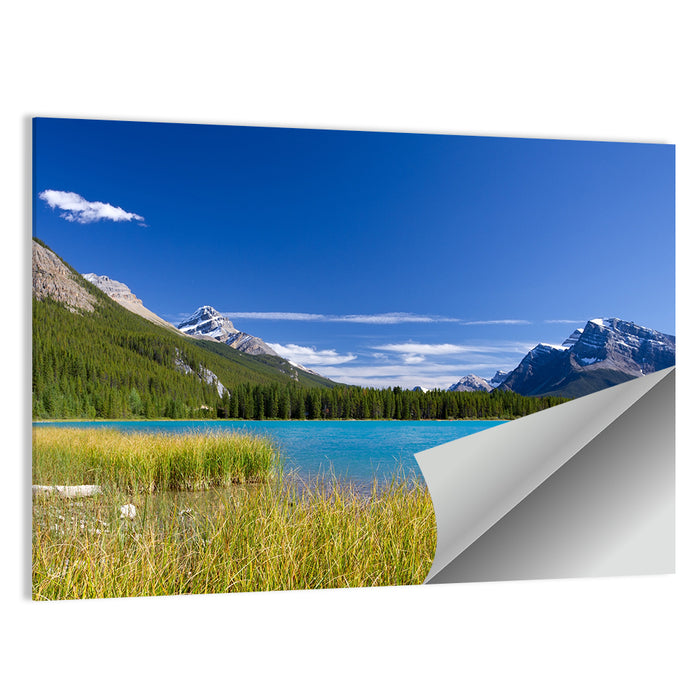 Autumn Lake in Jasper National Park Wall Art as a poster print