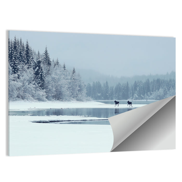 Foggy Lake Selbu Wall Art as a poster print