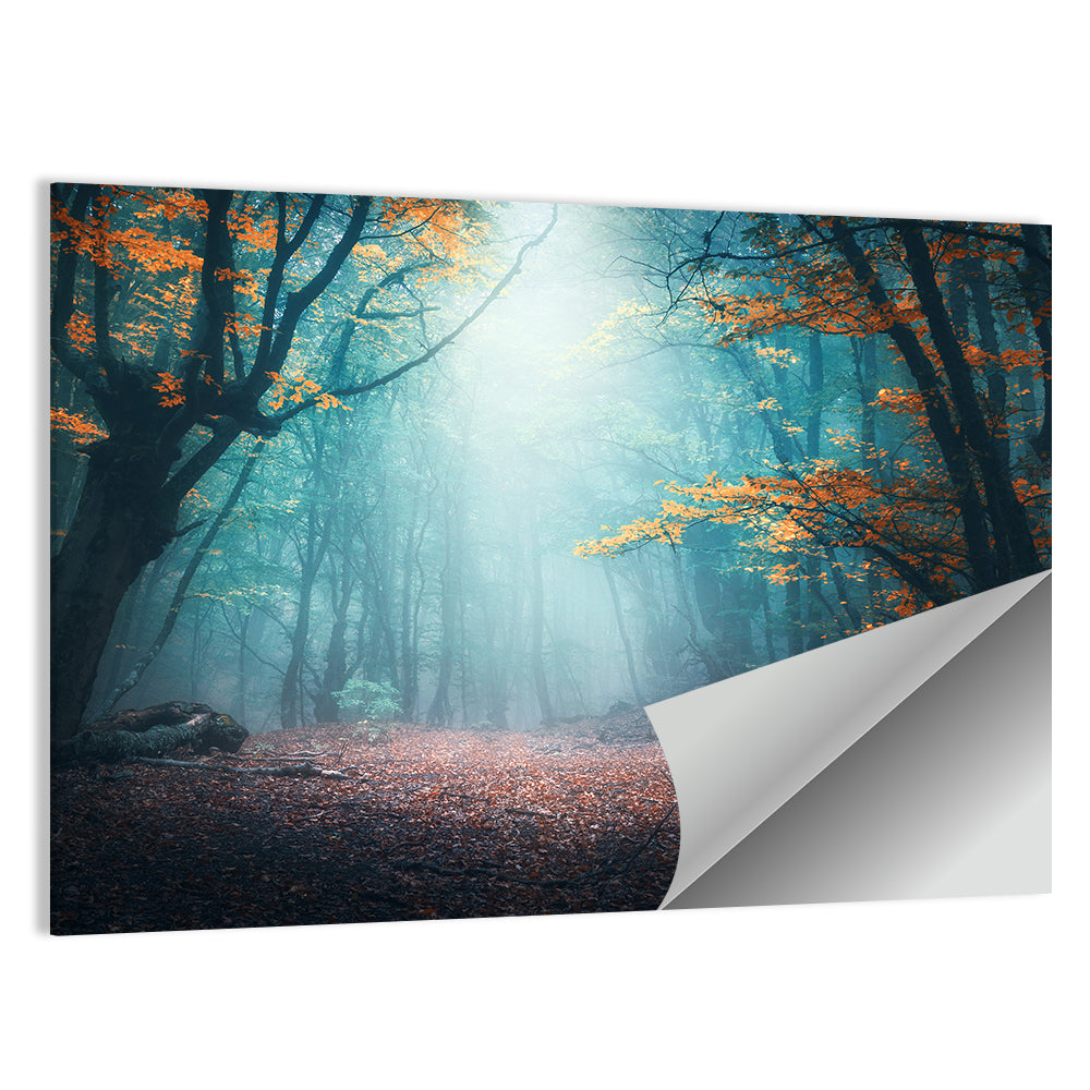 Misty Forest Path with Glowing Light Wall Art