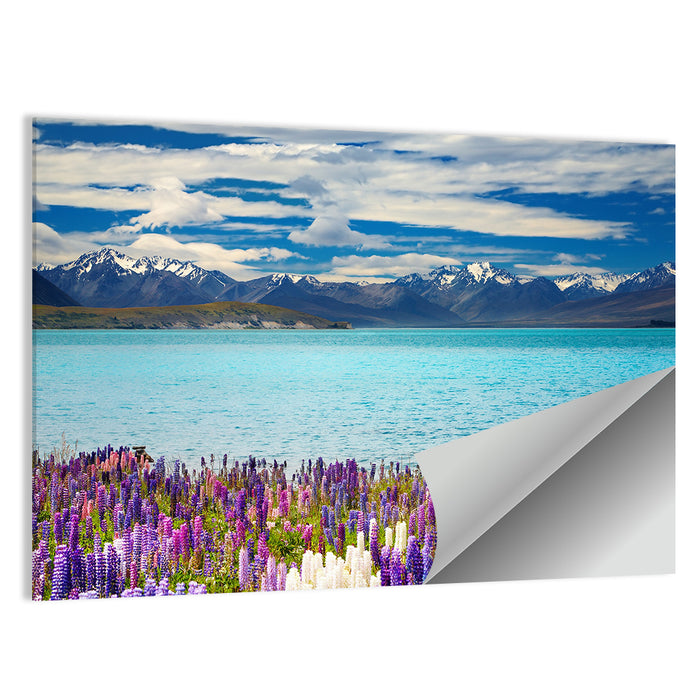 Lake Tekapo Lupines and Mountains Wall Art as a poster print