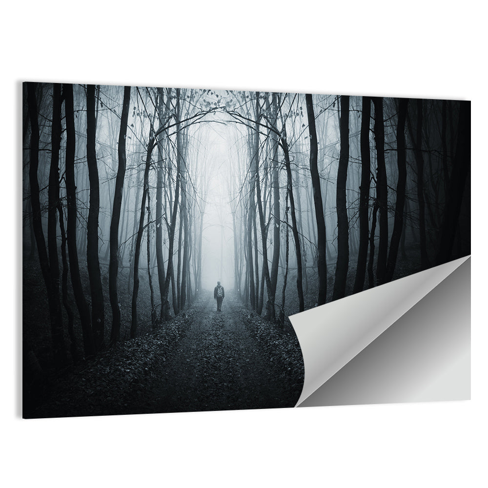 Strange Foggy Forest Path Wall Art