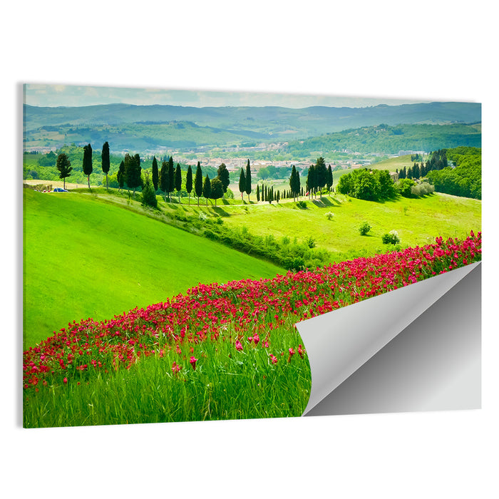 Tuscany Hill with Red Wildflowers Wall Art as a poster print
