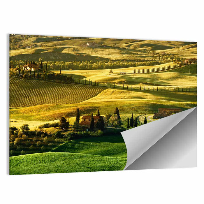Tuscany Fields at Golden Hour Wall Art as a poster print