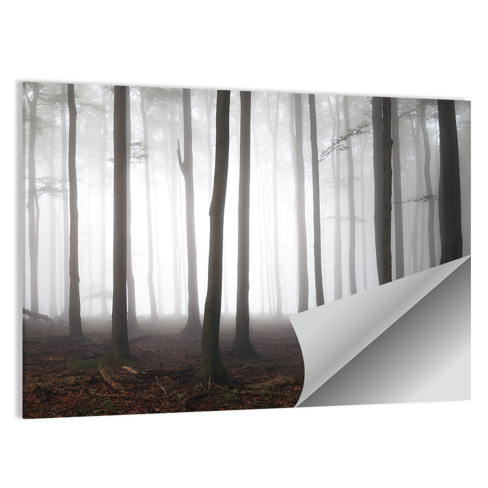 Misty Forest Perspective Wall Art