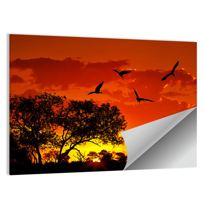 African Sunset Silhouette Wall Art as a poster print