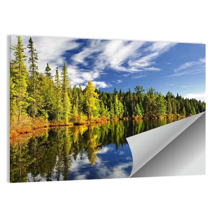 Lake Shore at Algonquin Park Wall Art as a poster print