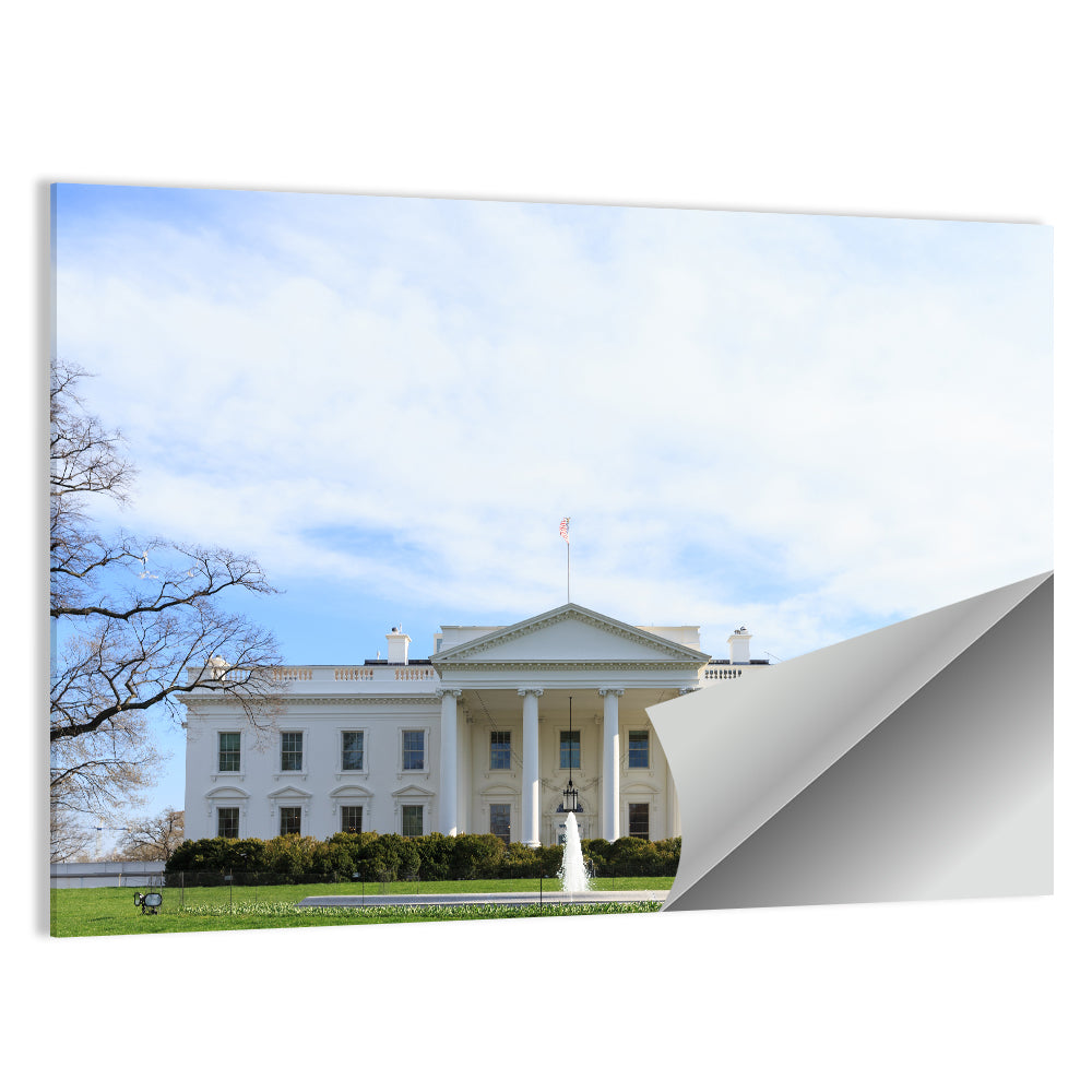 The White House, Washington D.c. Wall Art