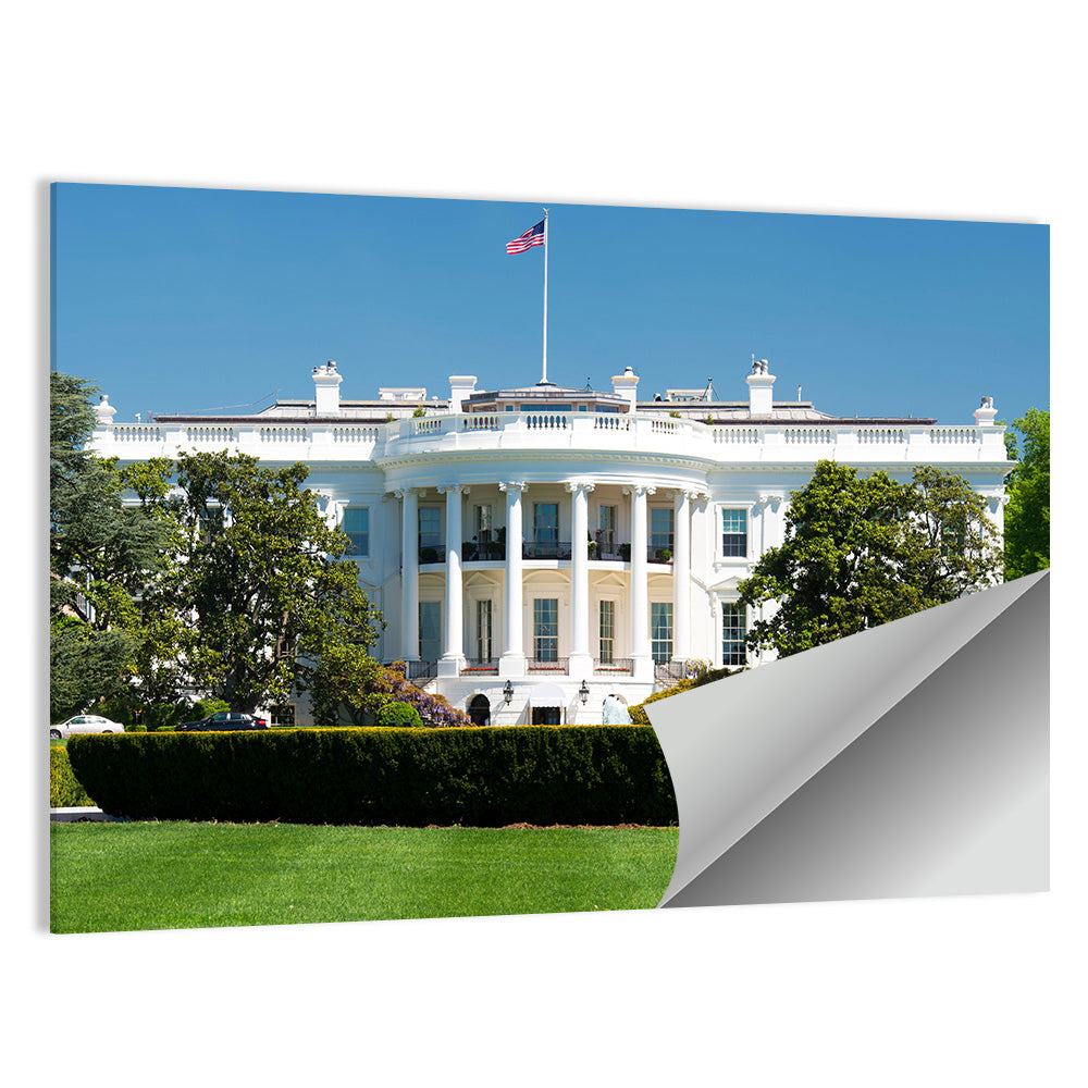 White House Closeup Wall Art