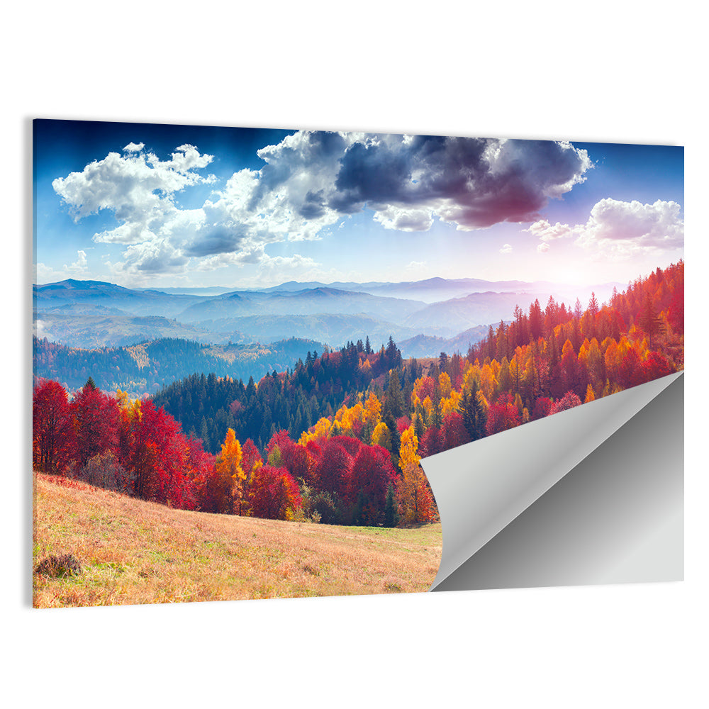 Carpathian Autumn Sunburst Ukraine Wall Art