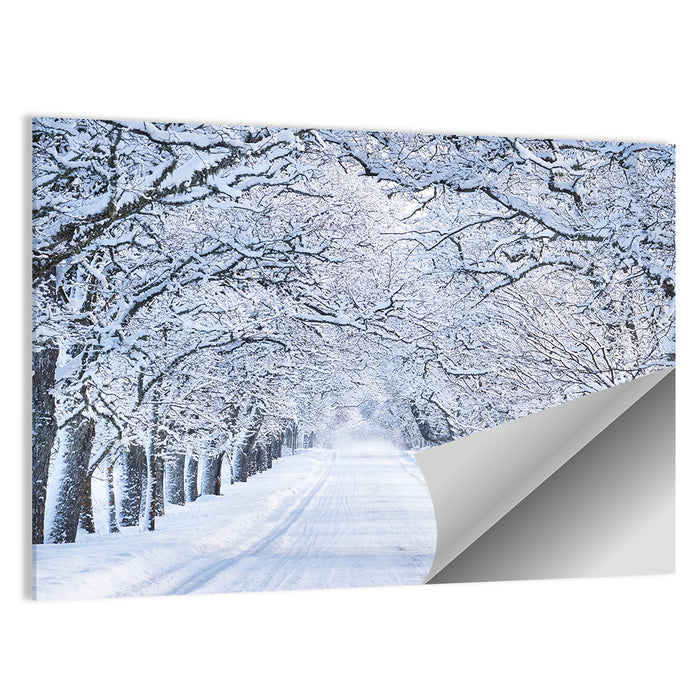 Snowy Morning Alley Wall Art as a poster print