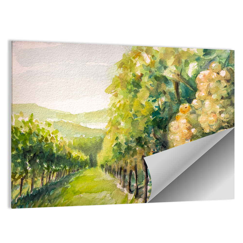 Sunlit Vineyard Watercolor Wall Art