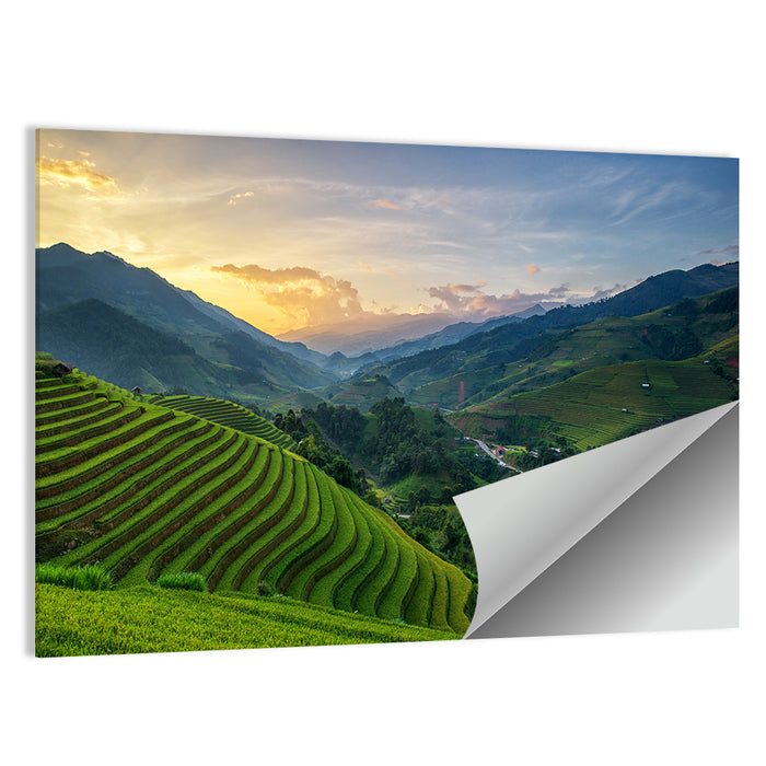 Vietnam Terraced Rice Fields Wall Art as a poster print