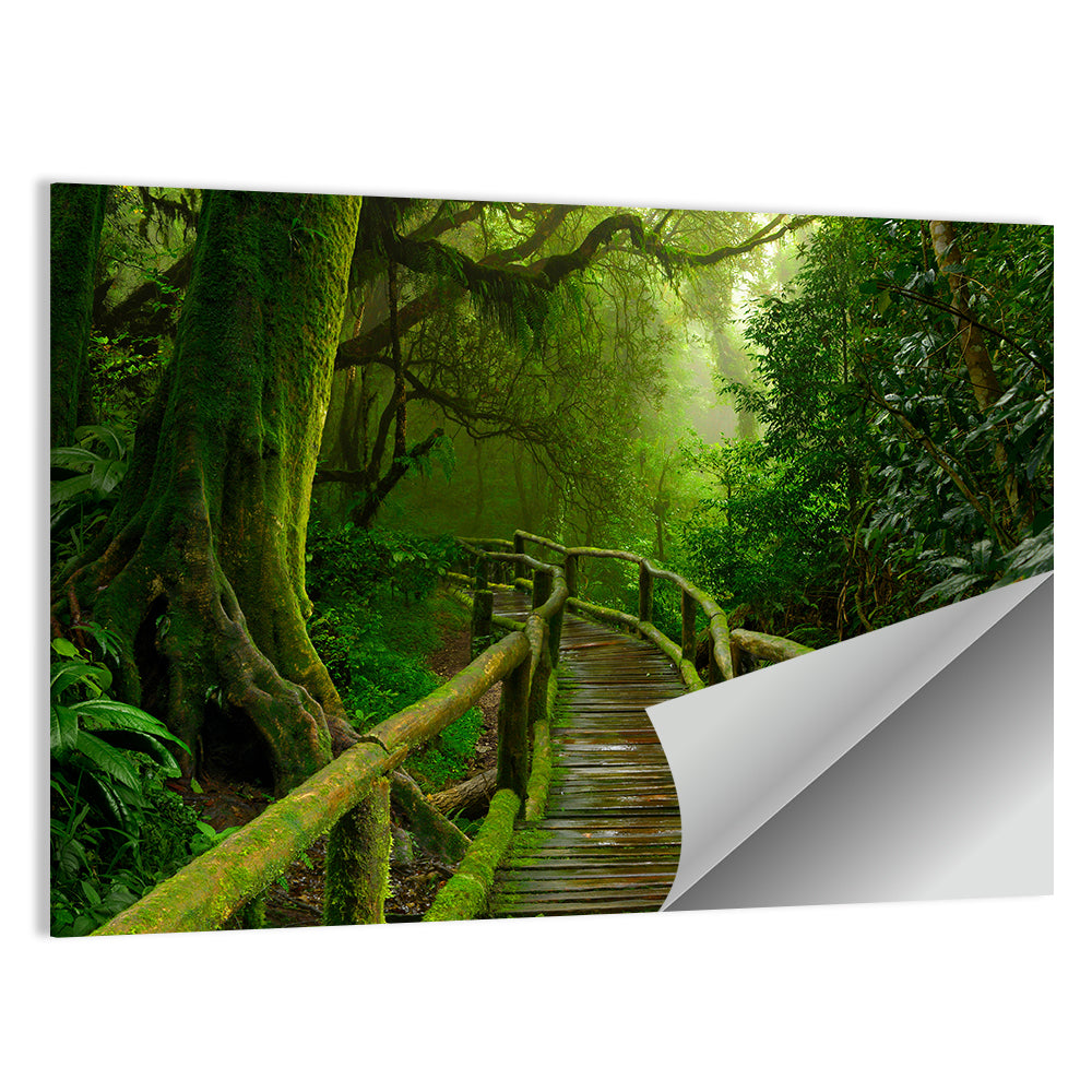 Misty Nepal Jungle Boardwalk Wall Art