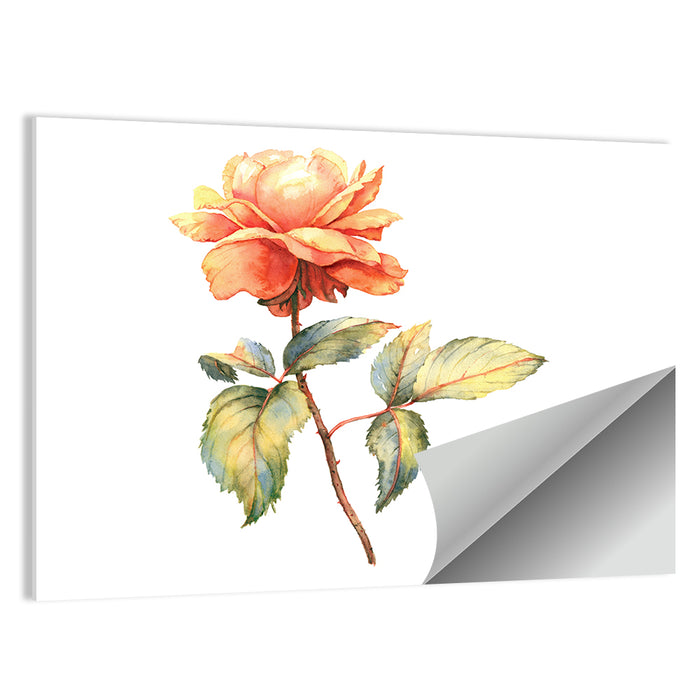 Orange Watercolor Rose Illustration Wall Art as a poster print