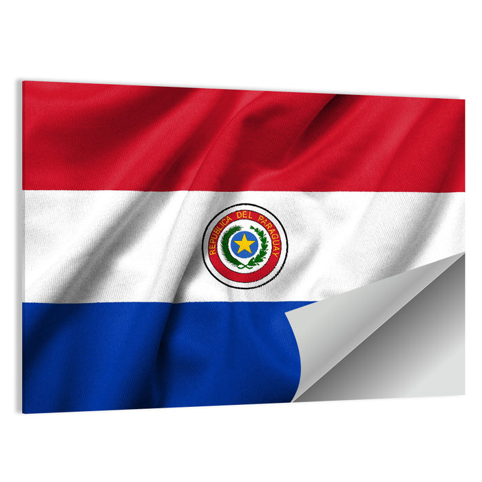 Paraguay Flag with Emblem Wall Art as a poster print