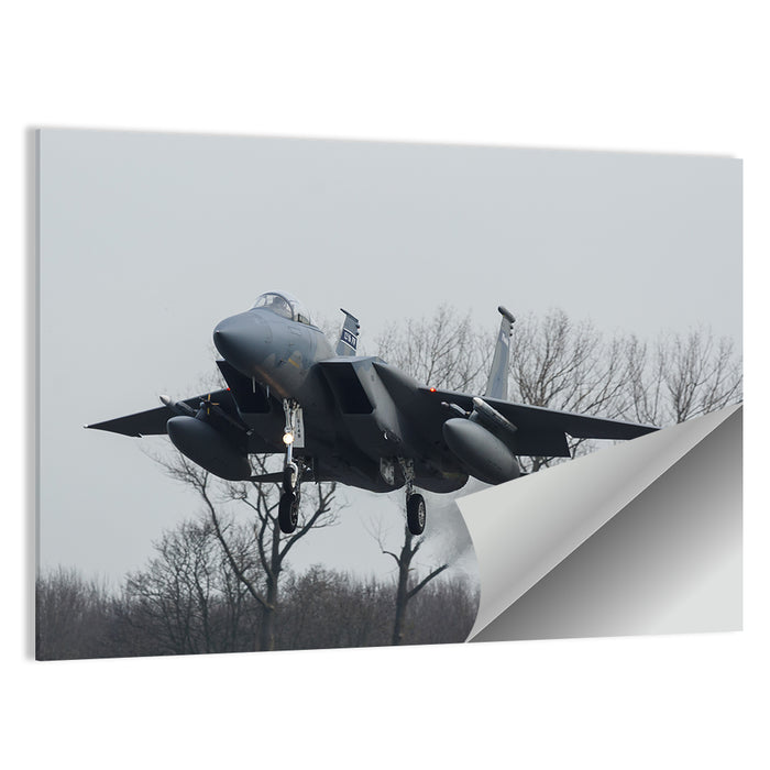 Usaf F-15 Eagle Landing Approach Wall Art as a poster print