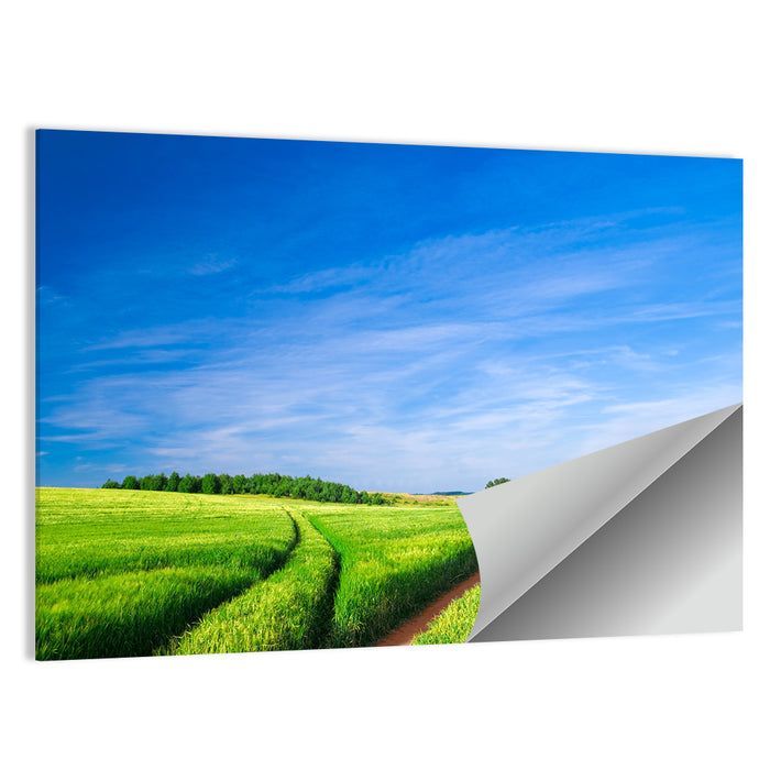 Summer Meadow with Dirt Path Wall Art as a poster print