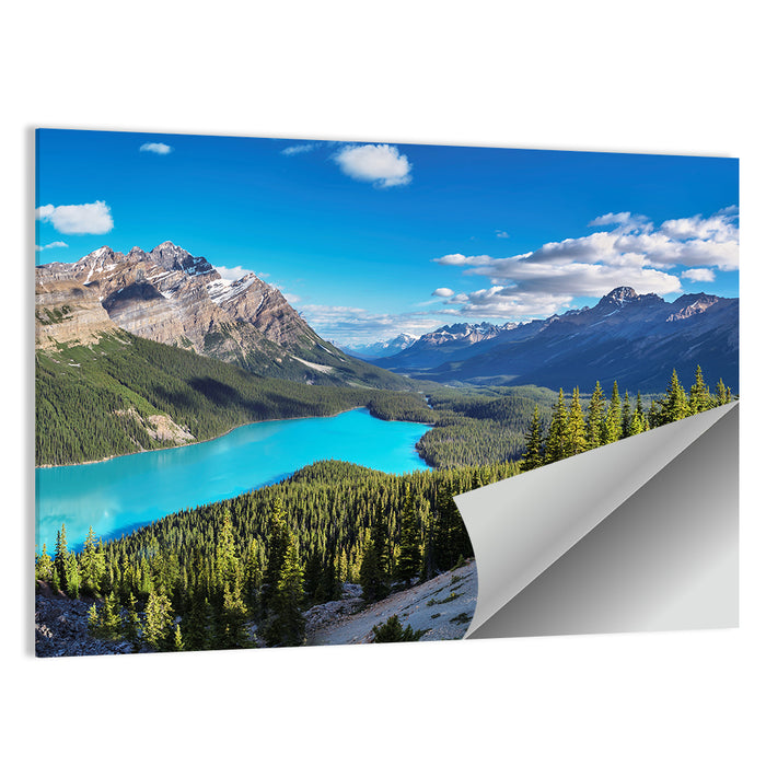 Peyto Lake, Banff National Park Wall Art as a poster print