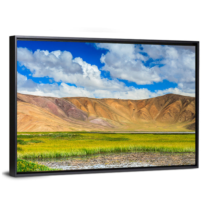 Bulunkul Lake Meadow, Tajikistan Wall Art