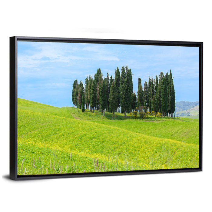 Tuscany Cypress Trees Wall Art as a framed canvas