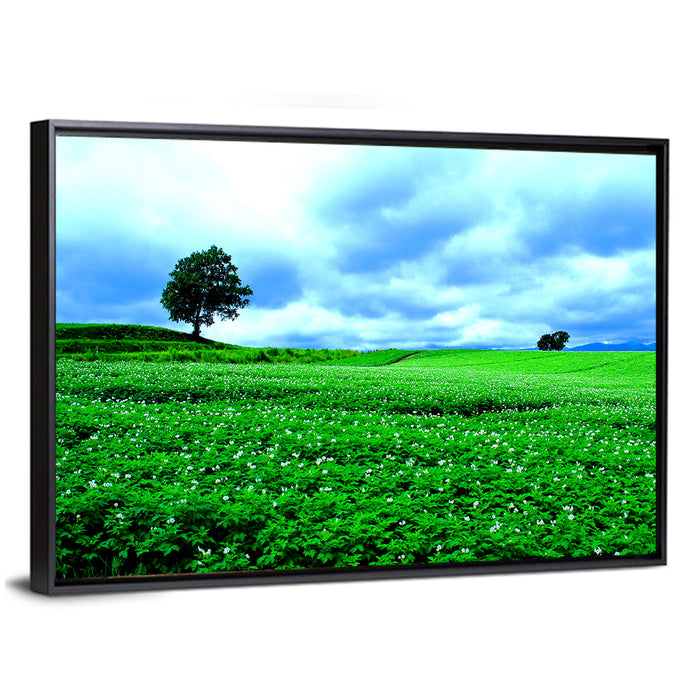 Biei Hill with Lone Tree, Hokkaido Wall Art as a framed canvas