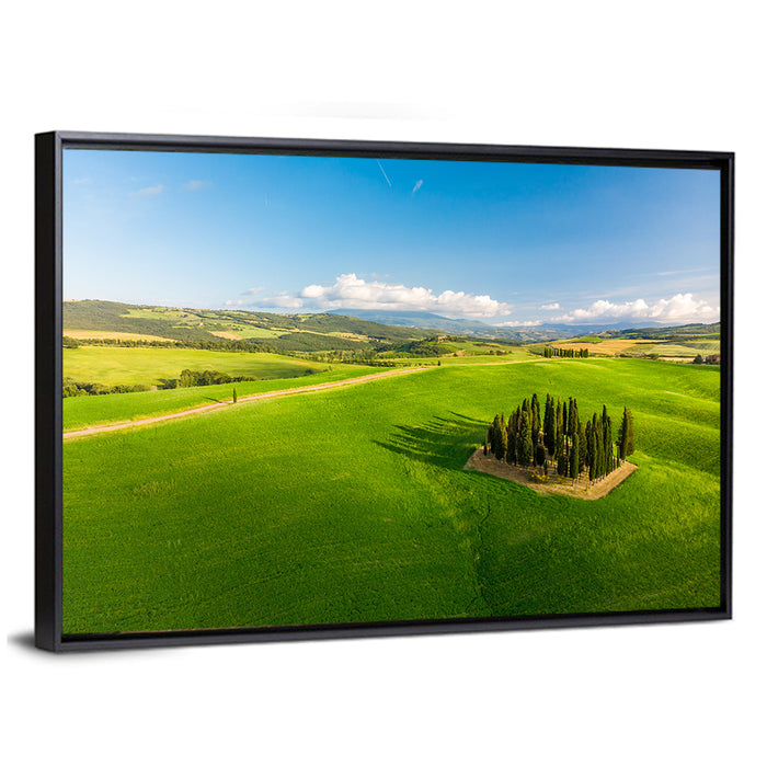 Italian Cypresses on Rolling Hills Wall Art as a framed canvas