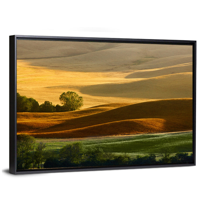 Golden Hills of Tuscany Wall Art as a framed canvas