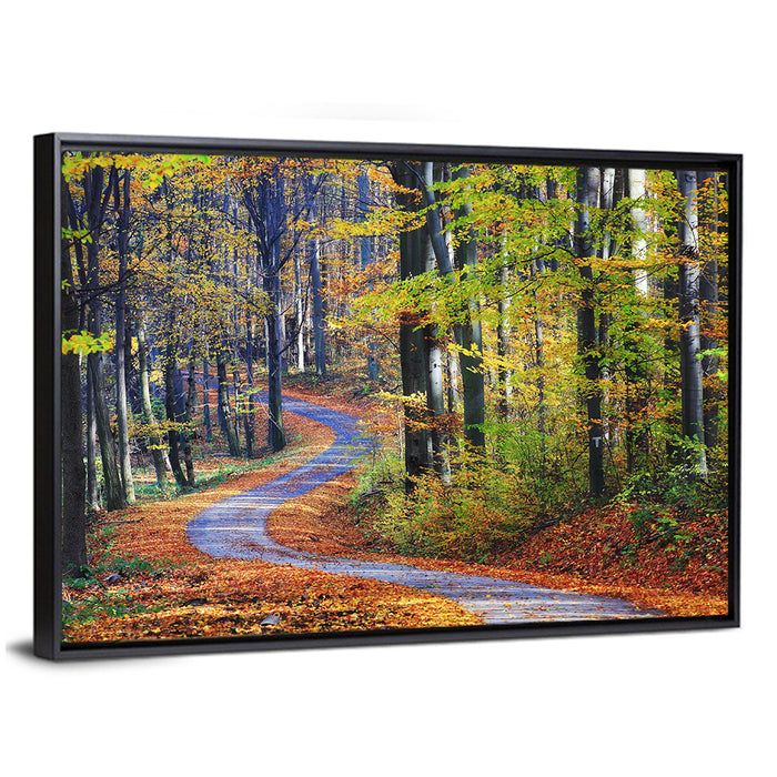 Winding Autumn Forest Path Wall Art as a framed canvas