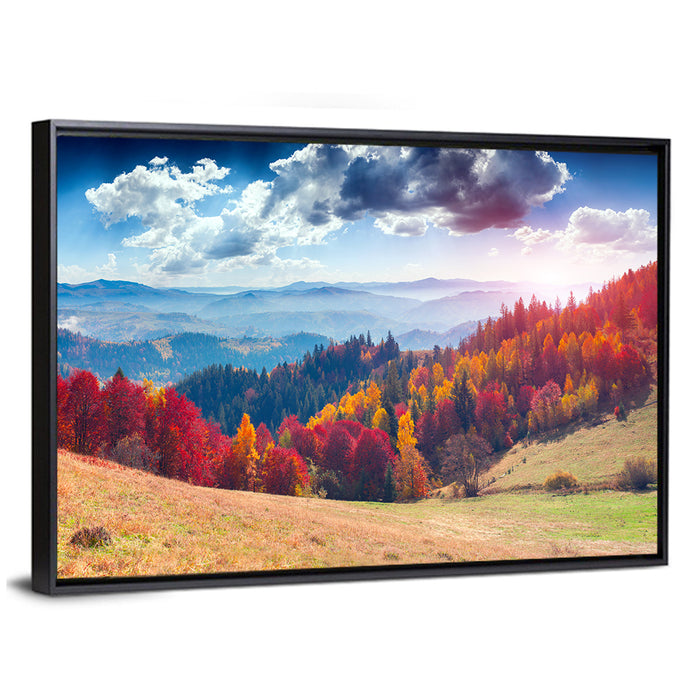 Carpathian Autumn Sunburst Ukraine Wall Art as a framed canvas