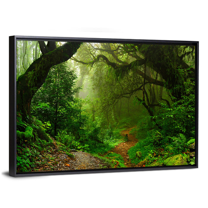 Misty Forest Trail in Nepal Wall Art as a framed canvas
