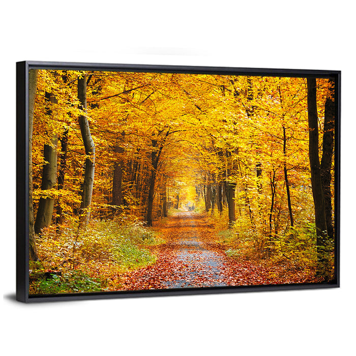 Autumn Forest Path Wall Art as a framed canvas