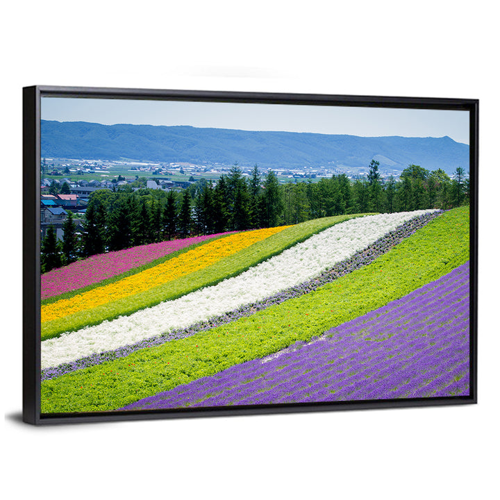 Farm Tomita Lavender Fields Wall Art