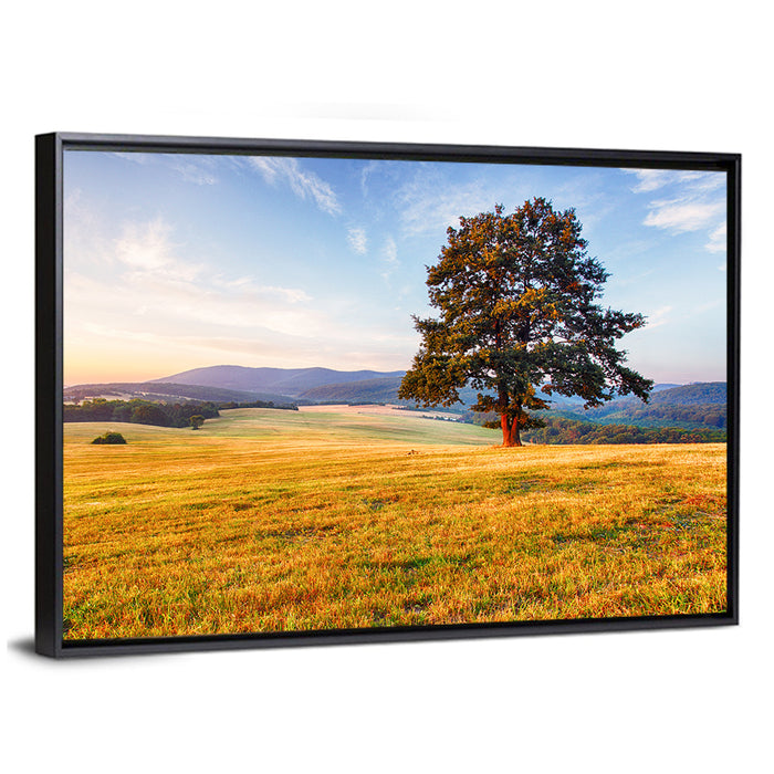 Golden Hour Meadow with Lone Tree Wall Art as a framed canvas