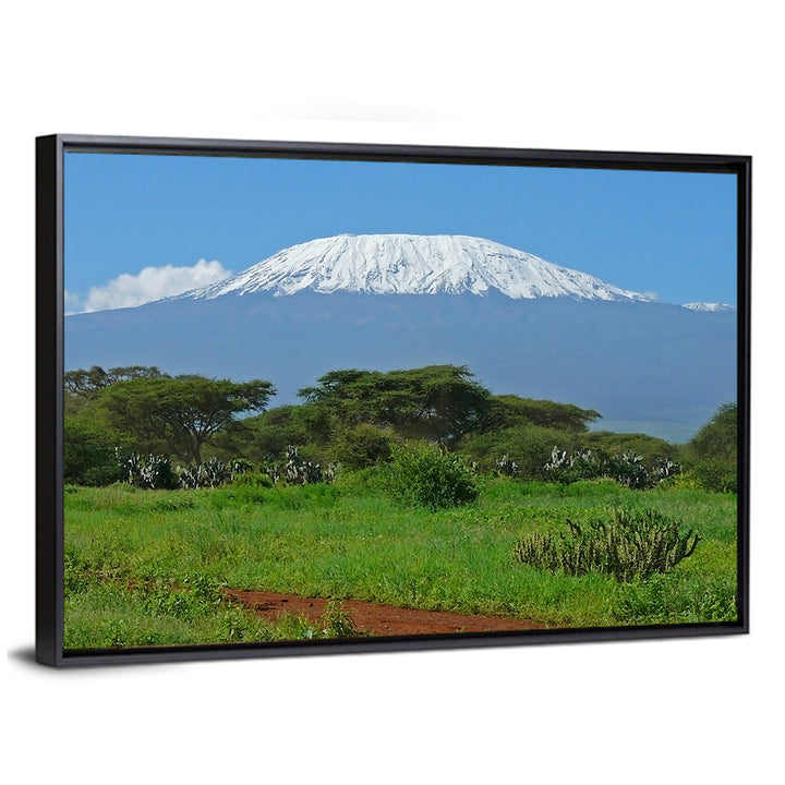Mount Kilimanjaro Snow Capped Peak Wall Art