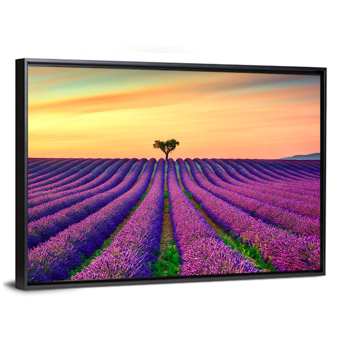 Lavender Field with Solitary Tree Wall Art as a framed canvas