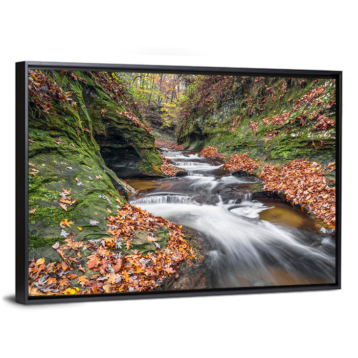 Warren County Autumn Cascades Wall Art as a framed canvas