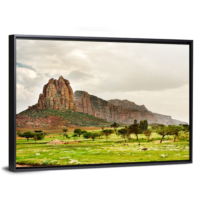 Tigray Mountain Meadow Wall Art as a framed canvas