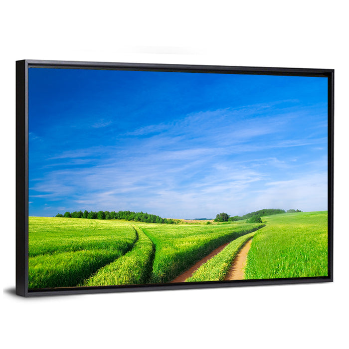 Summer Meadow with Dirt Path Wall Art as a framed canvas