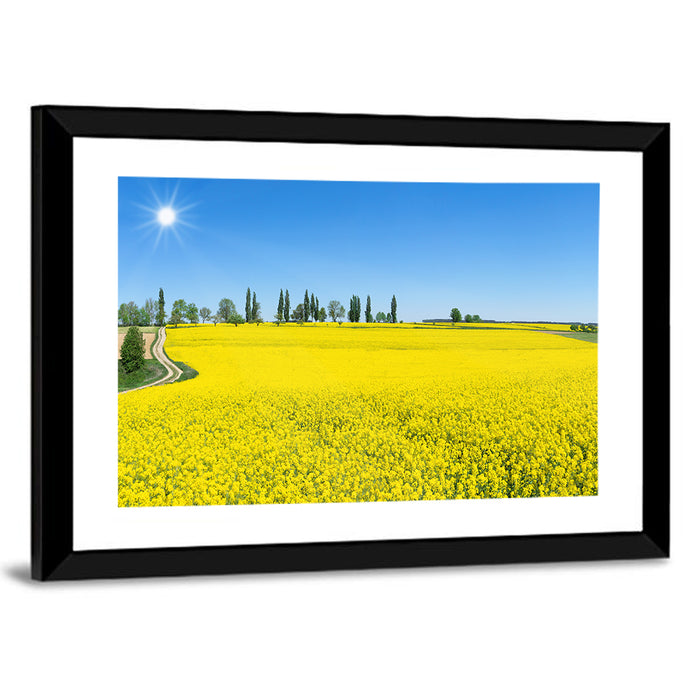 Winding Path Through Rapeseed Field Wall Art as a framed print