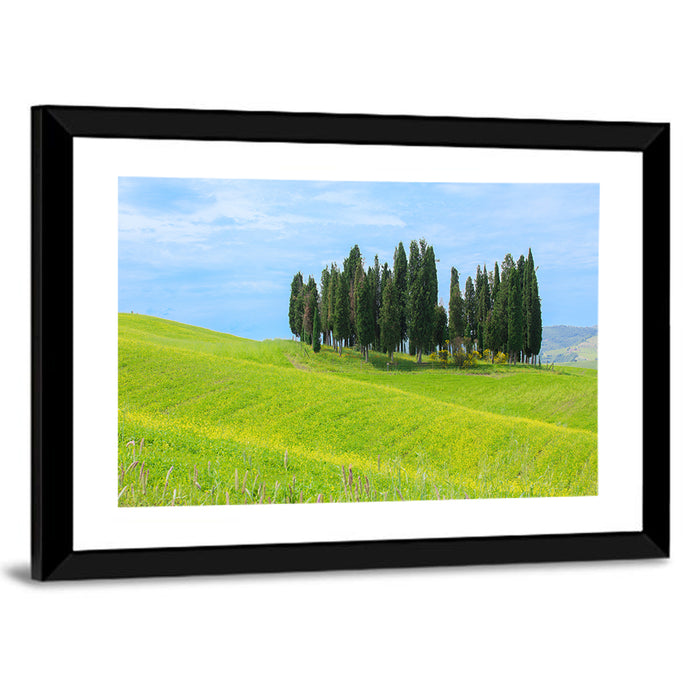 Tuscany Cypress Trees Wall Art as a framed print