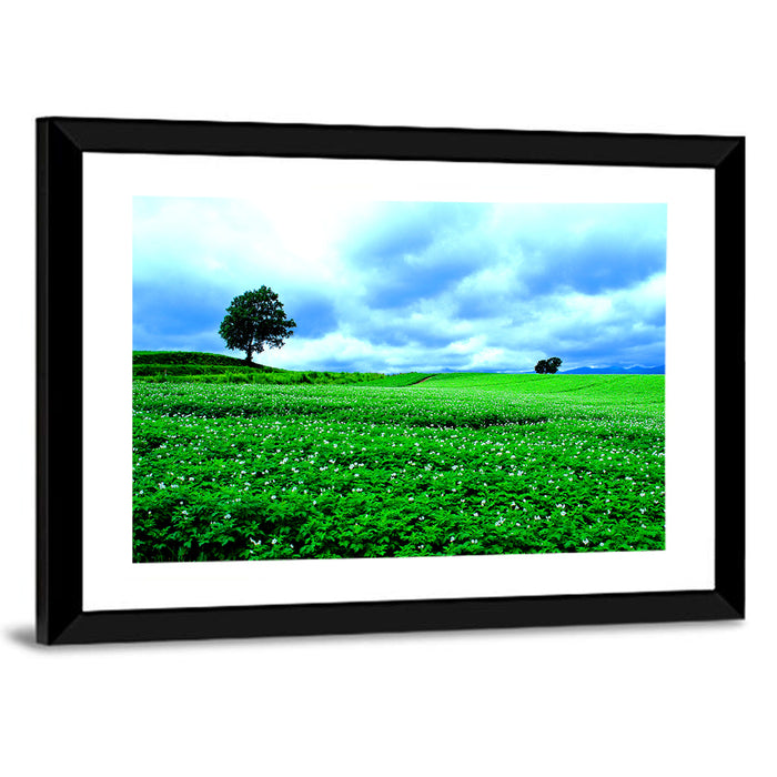 Biei Hill with Lone Tree, Hokkaido Wall Art as a framed print