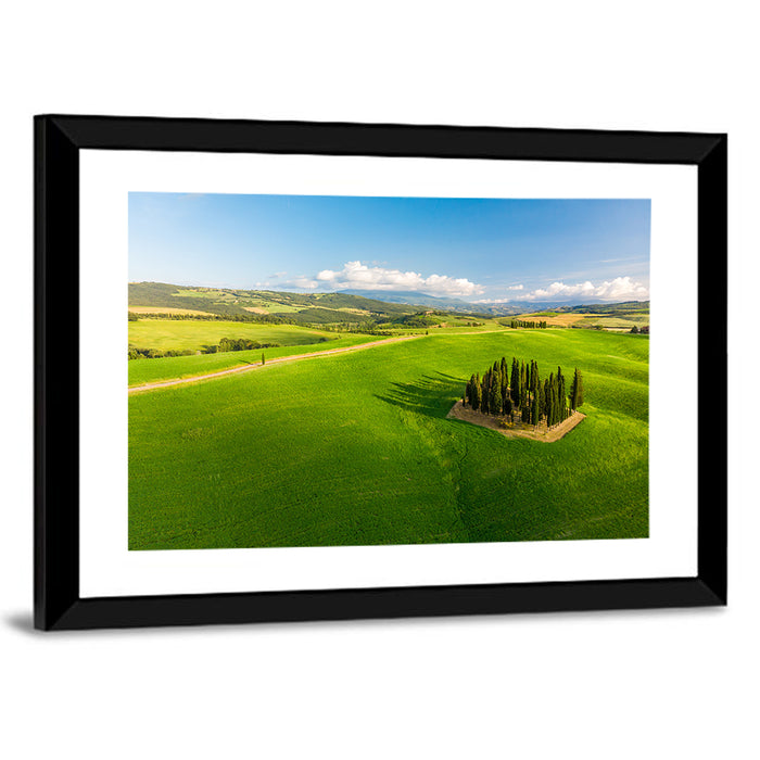 Italian Cypresses on Rolling Hills Wall Art as a framed print