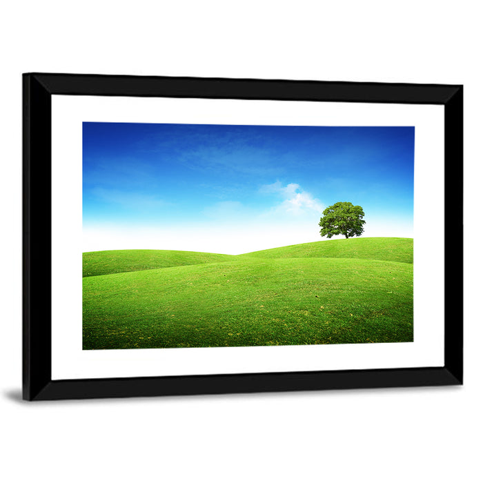 Lone Tree on Rolling Green Hill Wall Art as a framed print