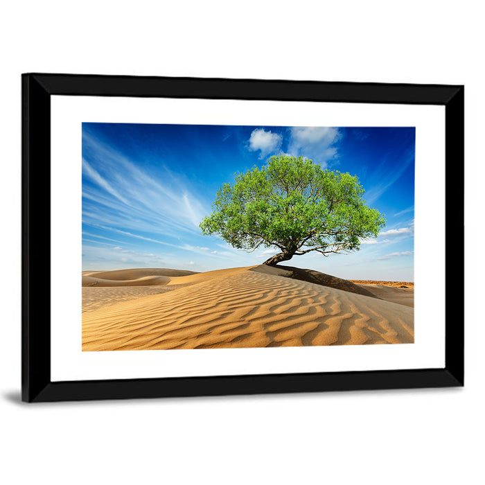 Solitary Green Tree on Sand Dune Wall Art as a framed print