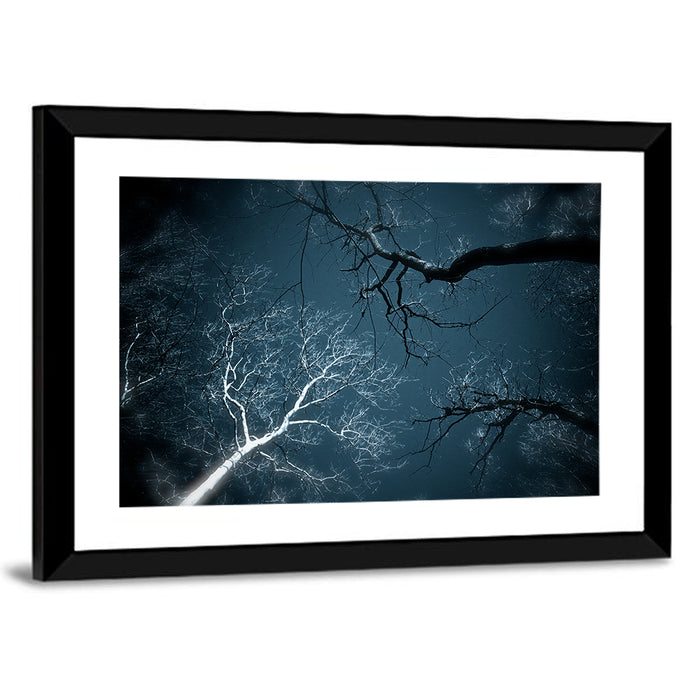 Twilight Canopy with Glowing Bark Wall Art as a framed print