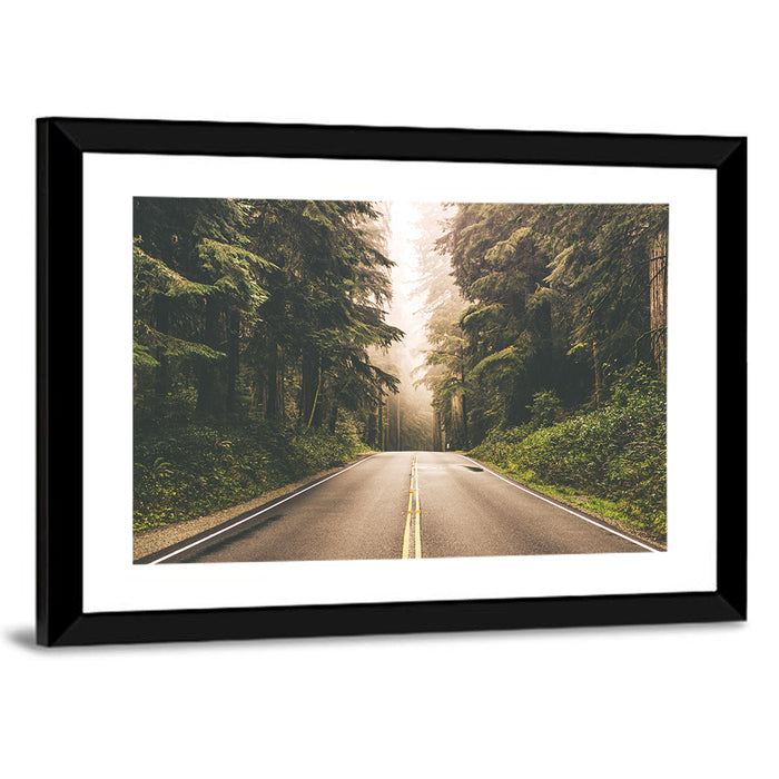 Redwood Highway, Northern California Wall Art as a framed print