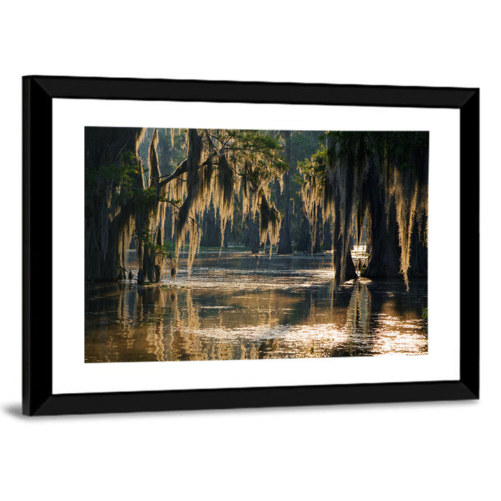 Spanish Moss in Louisiana Bayou Wall Art