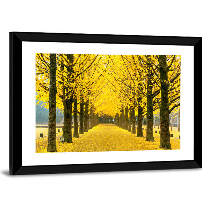Nami Island Ginkgo Tree Tunnel Wall Art as a framed print