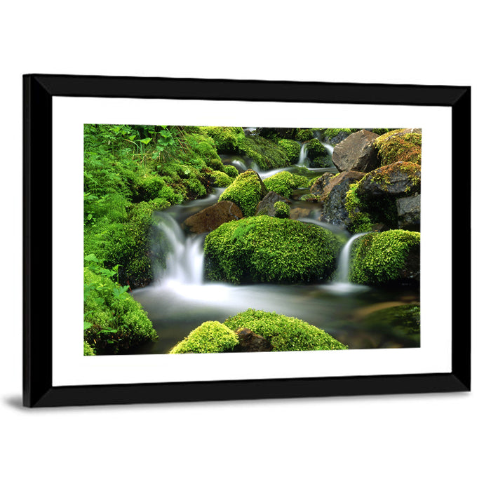 Mossy Mountain Stream Wall Art as a framed print